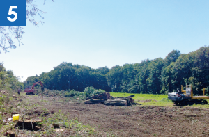 雑草が除去された遊休地